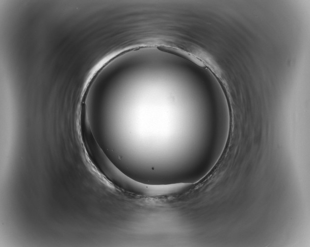 X0000087520960200704271138