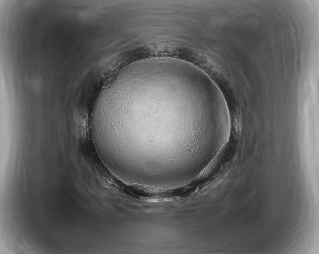 X0000087520963200704271137