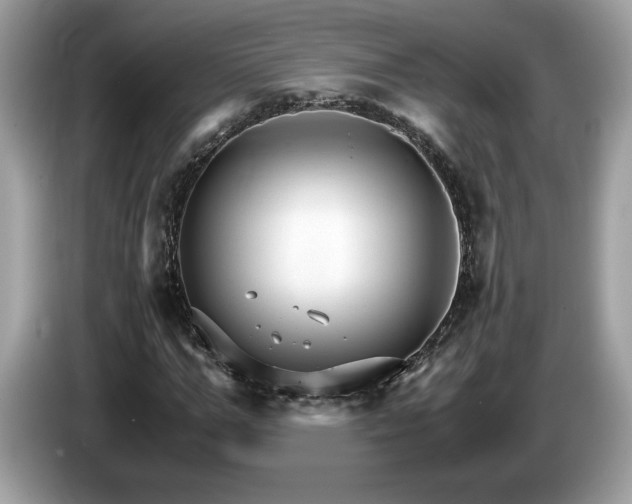 X0000087520967200704271137