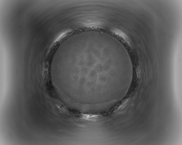 X0000087520968200704271137