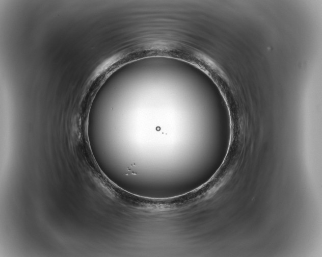 X0000087520970200704271137