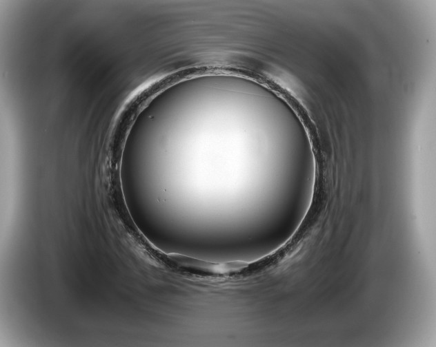 X0000087520971200704271137