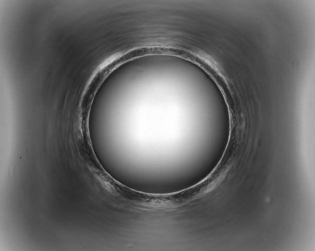 X0000087520974200704271137