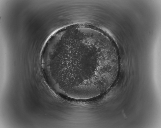X0000087520975200704271137