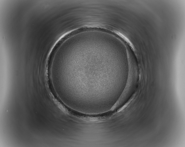 X0000087520976200704271137