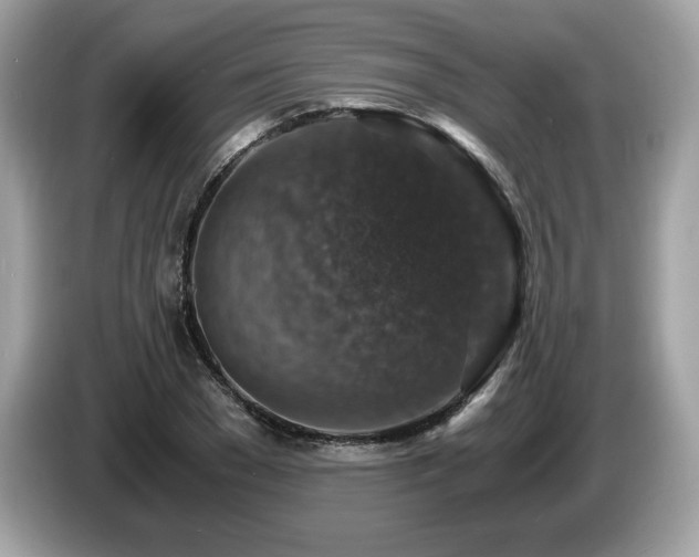 X0000087520977200704271137