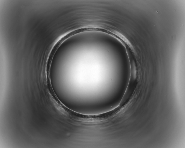 X0000087520980200704271137