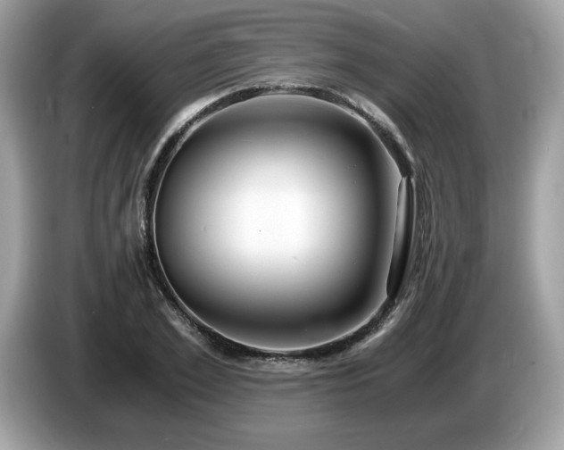 X0000087520981200704271137