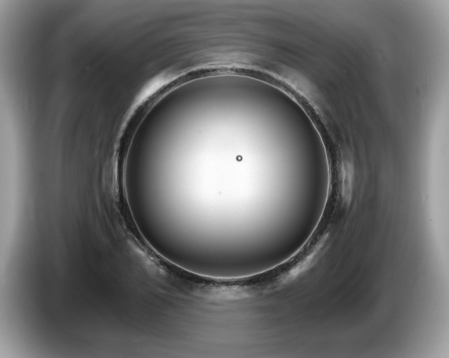 X0000087520982200704271137