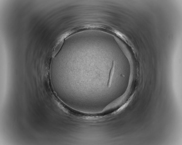 X0000087520985200704271137