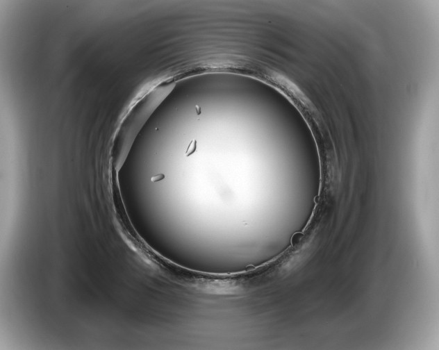 X0000087520986200704271137