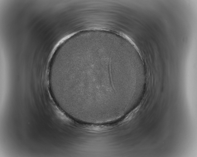 X0000087520987200704271137