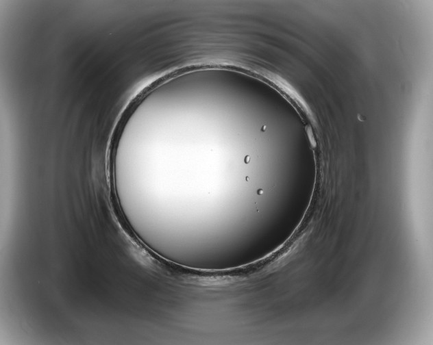 X0000087520988200704271137