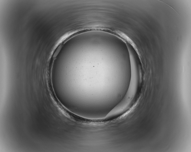 X0000087520989200704271137