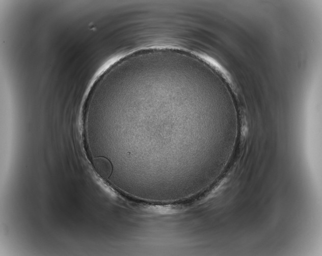 X0000087520990200704271137