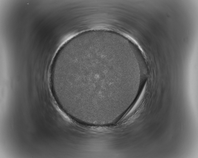 X0000087520991200704271137