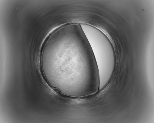 X0000087520992200704271137
