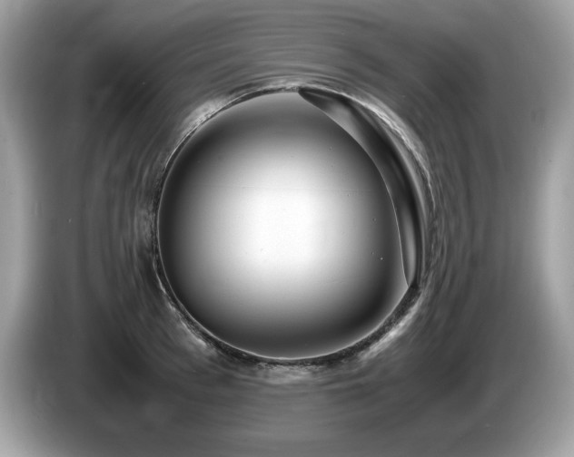 X0000087520993200704271137