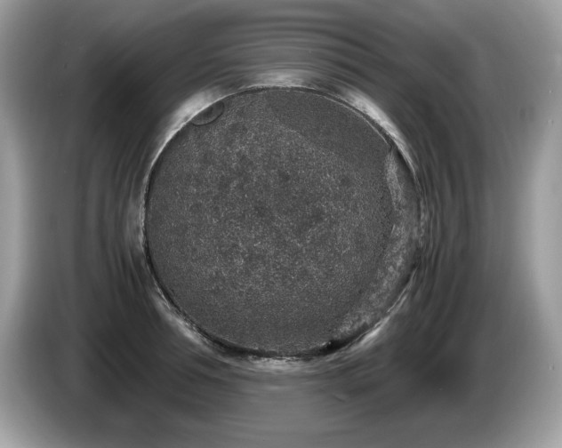 X0000087520994200704271137