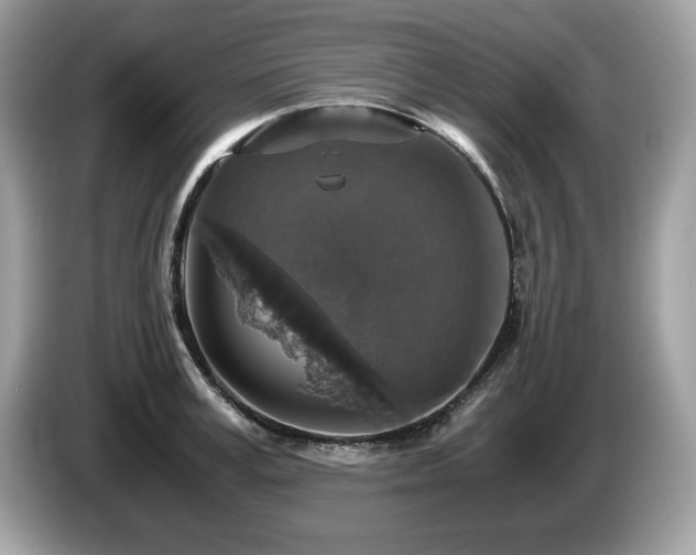 X0000087520995200704271137