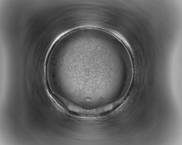 X0000087520996200704271137