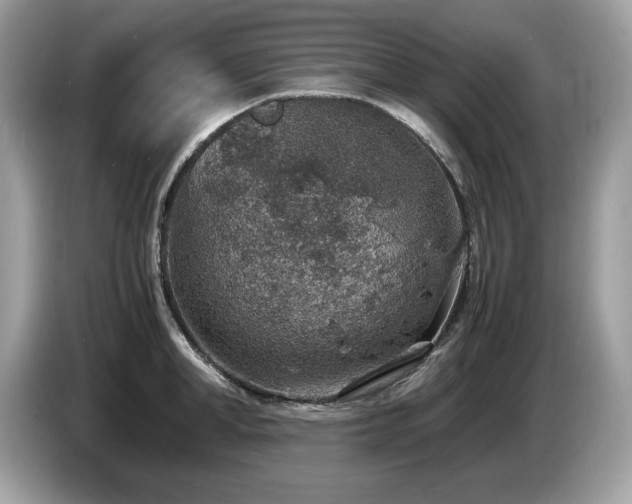 X0000087520998200704271137