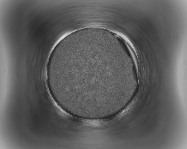 X0000087520999200704271137