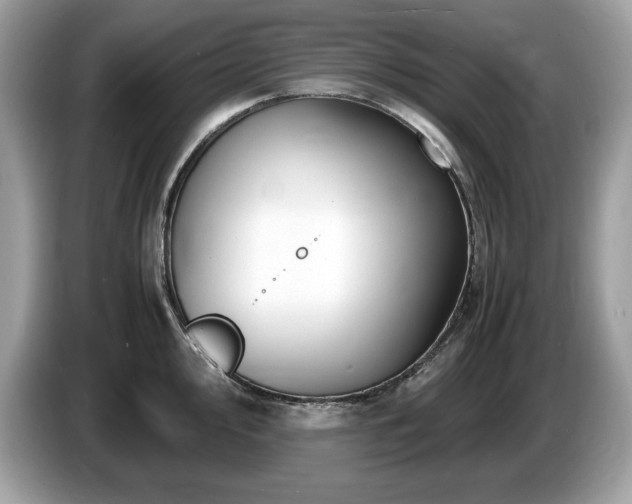 X0000087521000200704271137