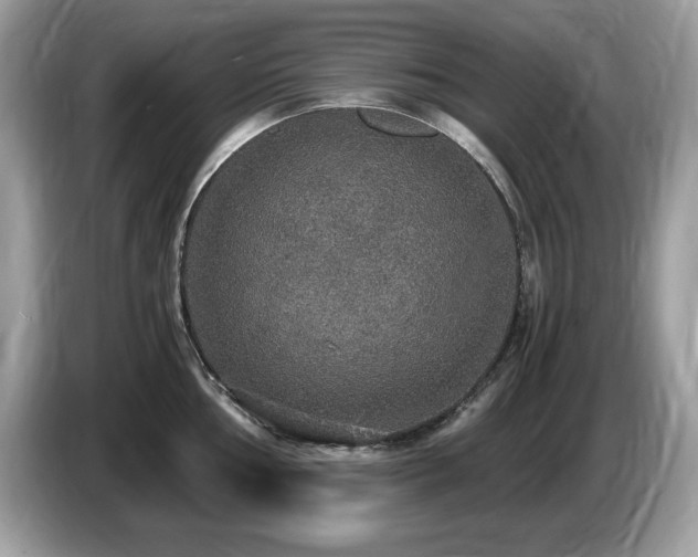 X0000087521002200704271137