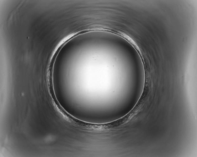 X0000087521003200704271137