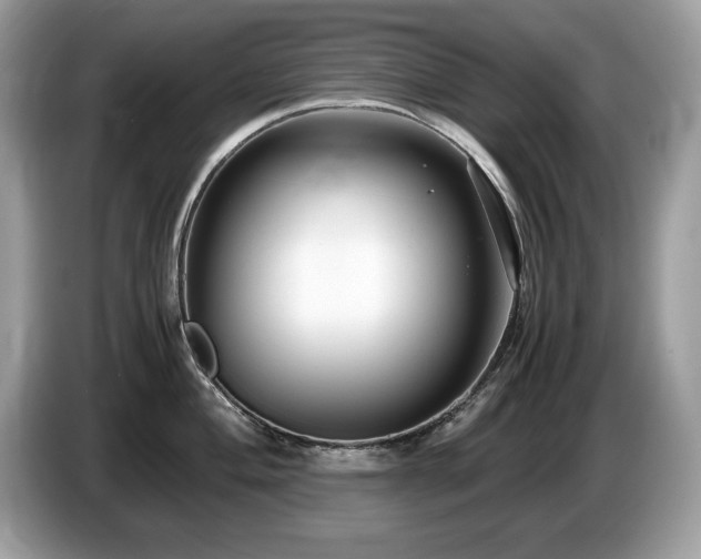 X0000087521004200704271137