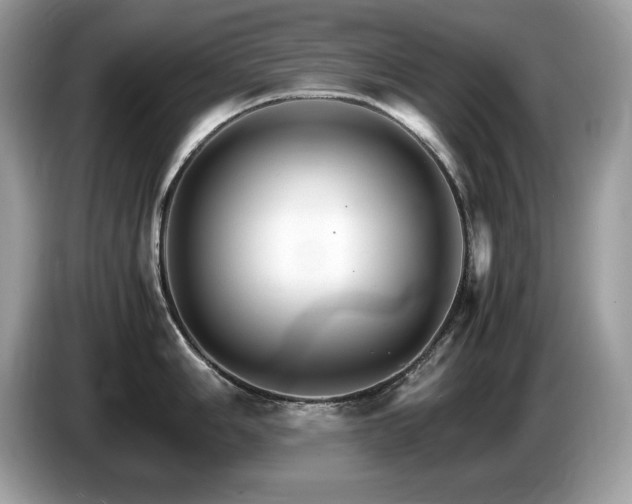 X0000087521006200704271137
