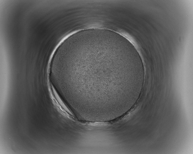 X0000087521008200704271137