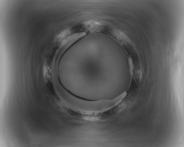 X0000087521010200704271136