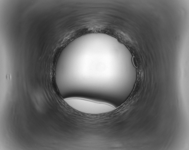 X0000087521012200704271136