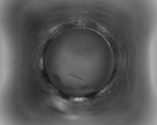 X0000087521013200704271136