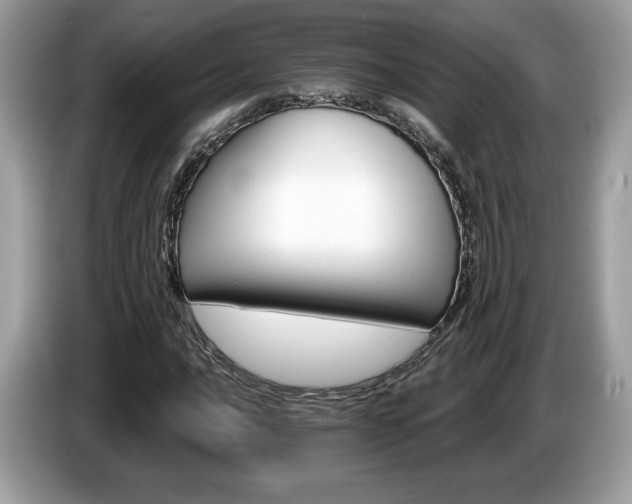 X0000087521016200704271136