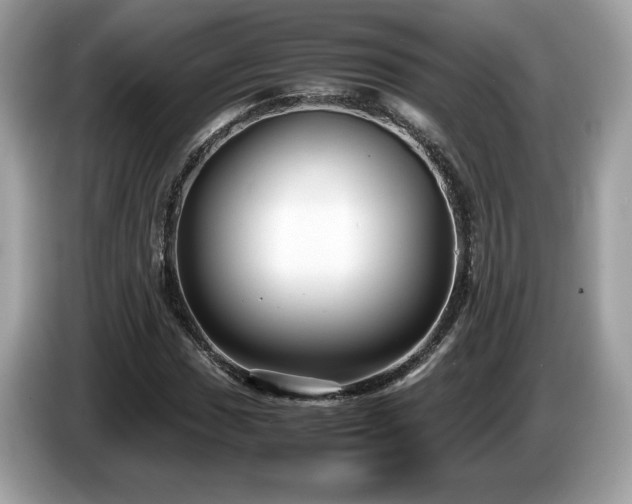 X0000087521017200704271136