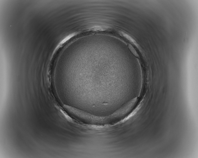 X0000087521018200704271136