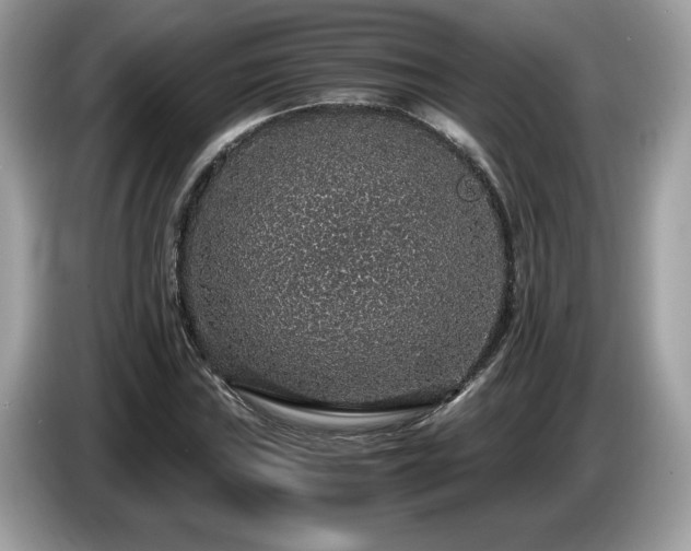 X0000087521019200704271136