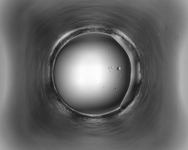 X0000087521021200704271136