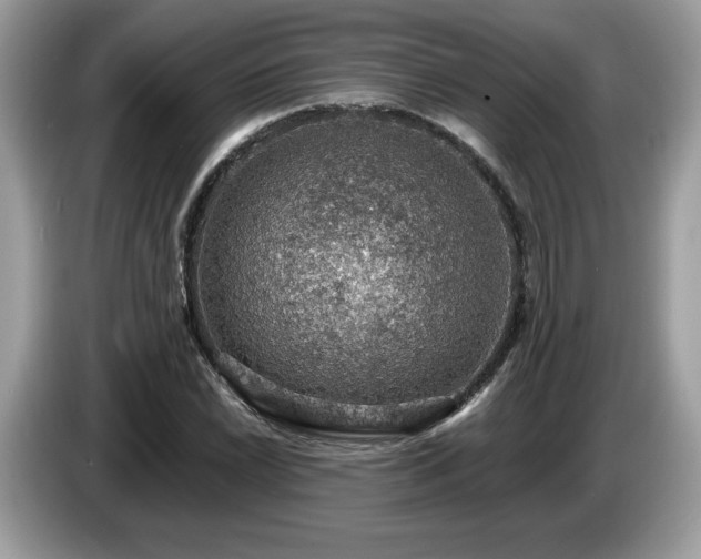 X0000087521022200704271136