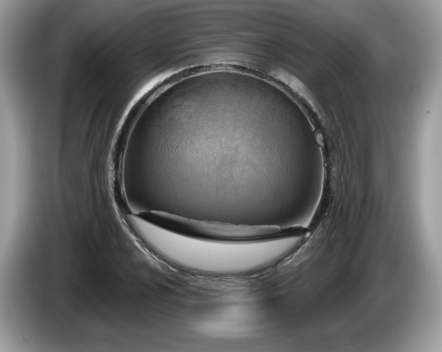 X0000087521024200704271136