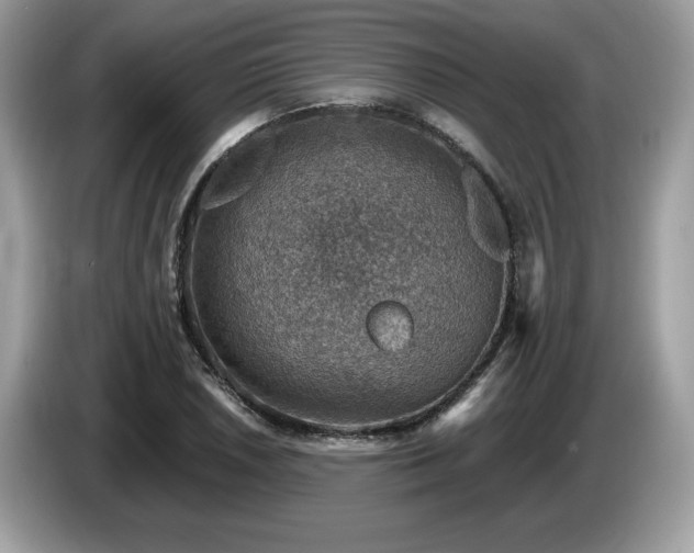 X0000087521026200704271137