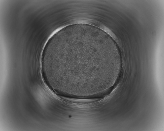 X0000087521028200704271137