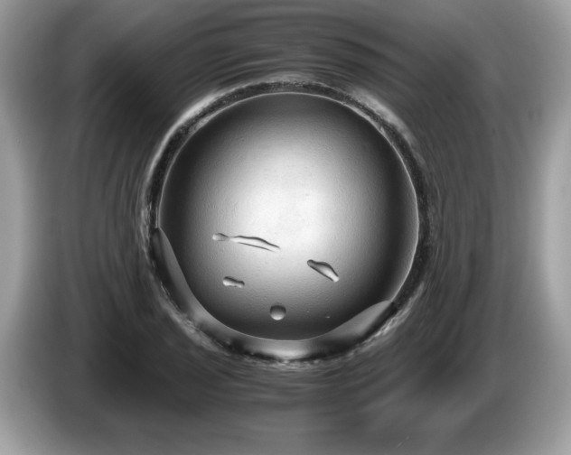 X0000087521029200704271137