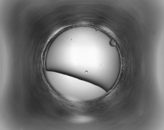 X0000087521031200704271137