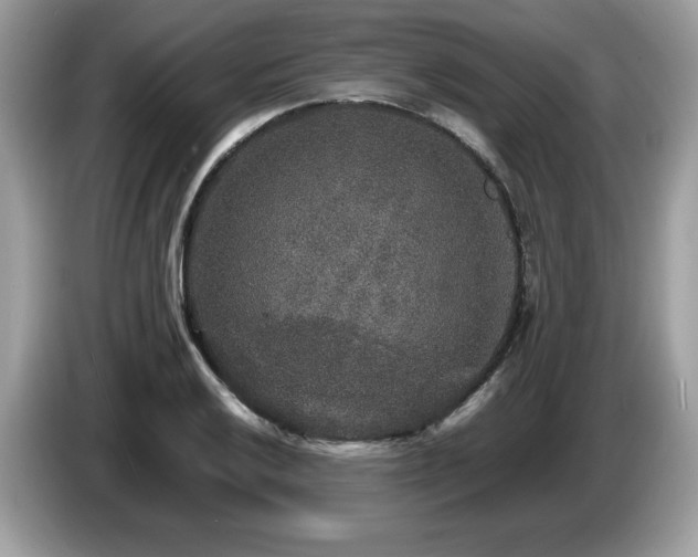 X0000087521032200704271137