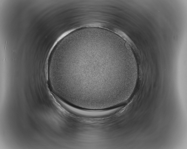 X0000087521036200704271137