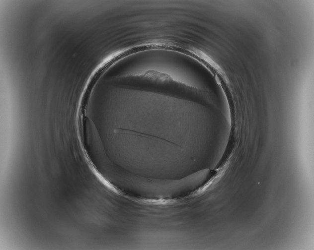 X0000087521037200704271137